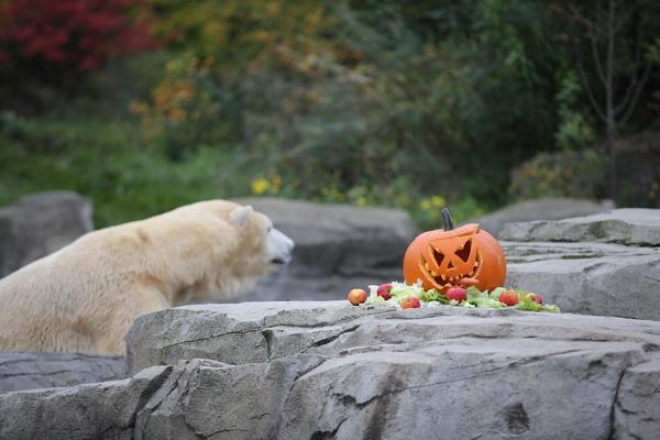 2015-10-22 06-26-37.JPG